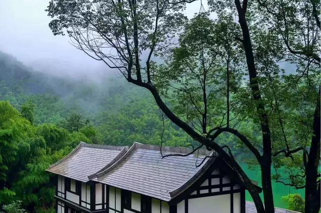 种下智慧的种子——"生活禅"药山寺竹林禅院学修活动招募