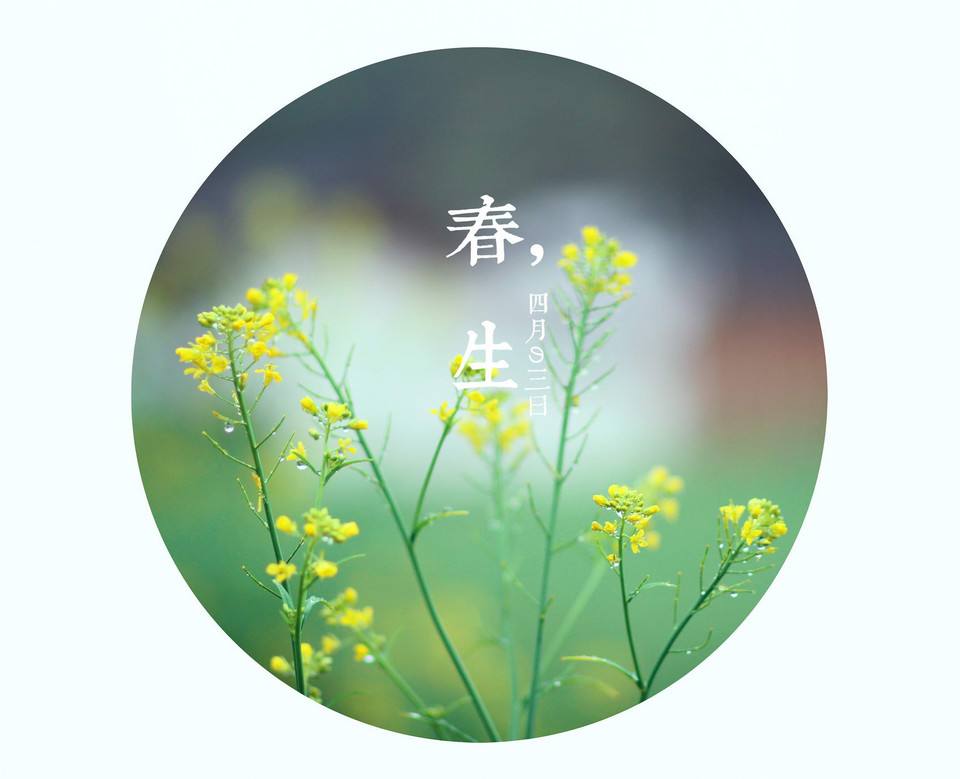 舞动治疗体验沙龙丨春生:身体的破土 |3.19