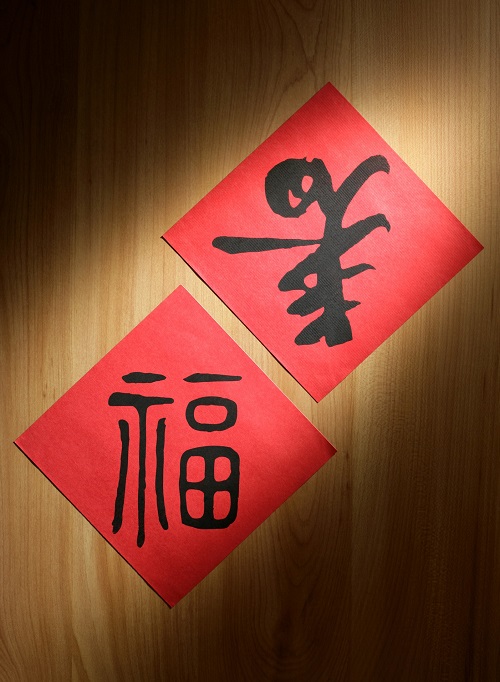 丁酉鸡年春联福字diy