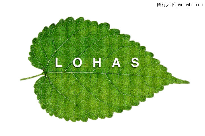 lohas,让我们一起乐活生活!