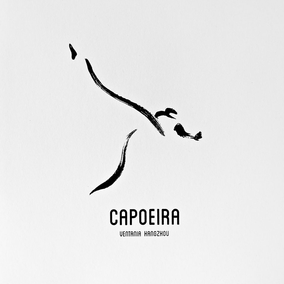 巴西战舞capoeira——格斗 & 艺术,源自巴西非裔移民的武术艺术