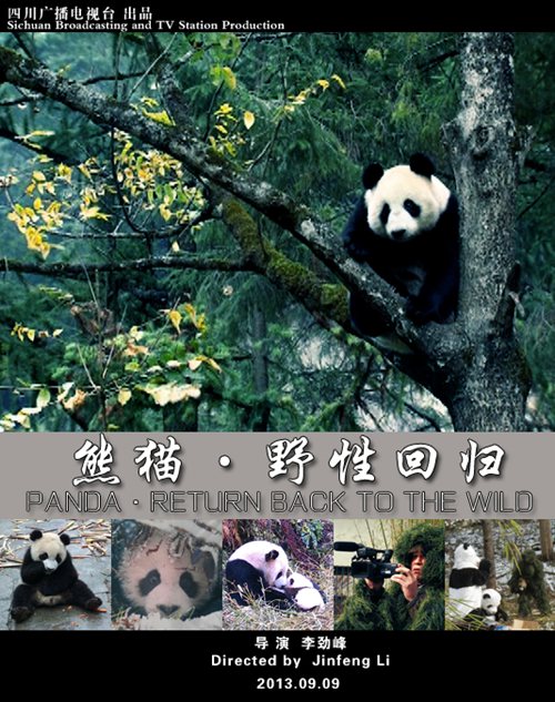 《熊猫-野性回归》公益展播