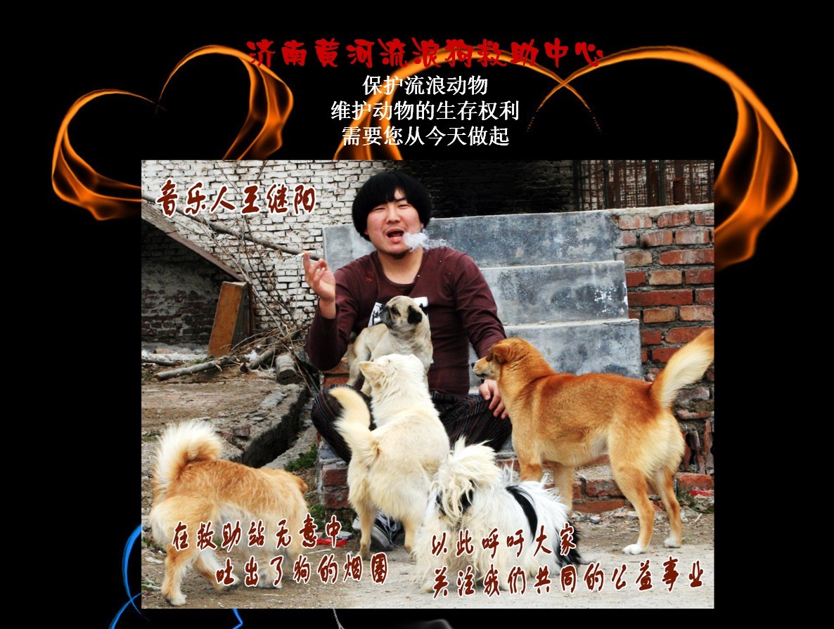 《保护流浪狗》王继阳的音乐公益专场,为流浪狗救助中心显出我们的爱