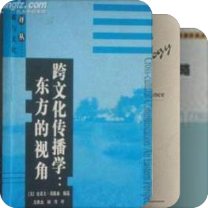 网络传播（中国网络媒体的第一个十年）
