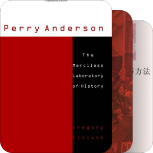 Perry Anderson
