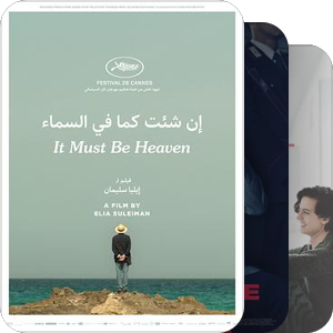 我的siff2019