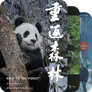 panda纪录片