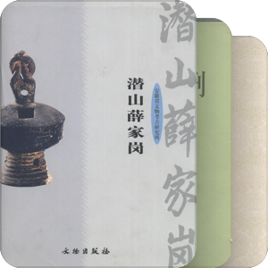 考古报告