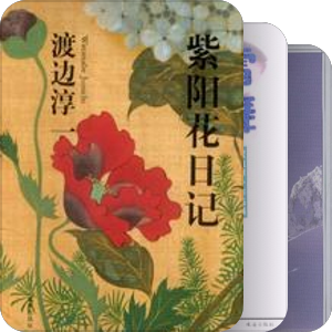 日本小说——渡边淳一