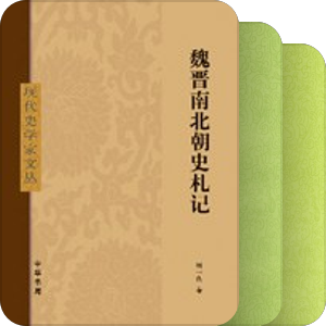 魏晋南北朝历史