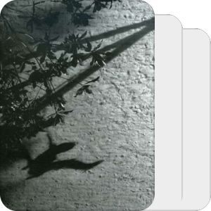 Mind