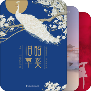 永远热爱小说