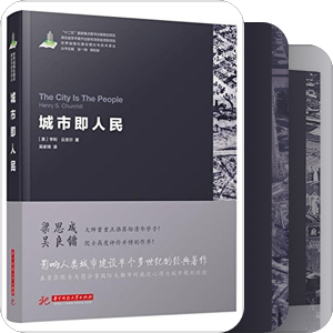 世界城镇化建设技术与理论译丛