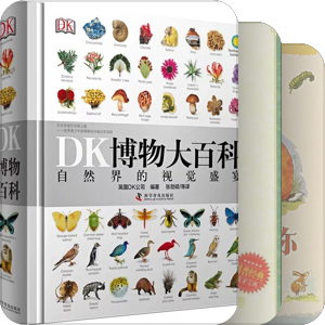 孩子的小图书馆