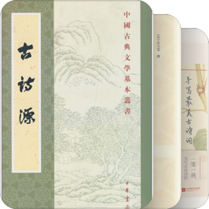 独立小桥风满袖