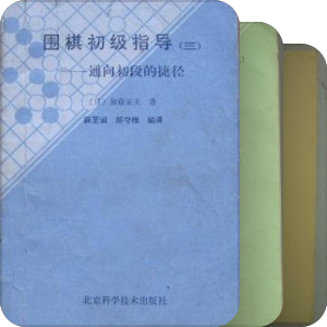 围棋：从入门到入土