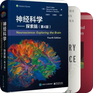 神经科学学习之路