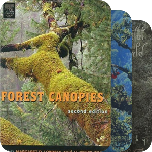 树冠层·treetops/canopies