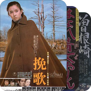 报知映画赏・最佳女主角