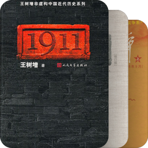王树增非虚构图书系列