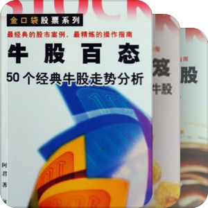 企业传记系列