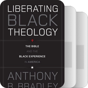 书名含有“theology”（2006—2010）