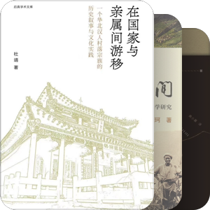 历史社会学（李康）