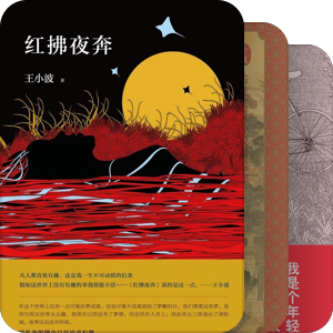 我永恒的日光