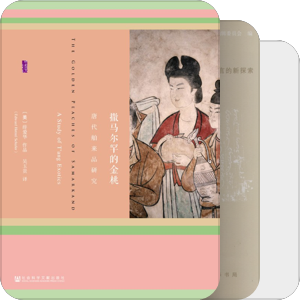 西部之行