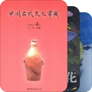 2011杂书柜