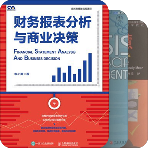 财务分析与建模