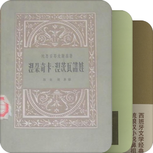 王小波喜欢的书❤️