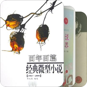 小小说