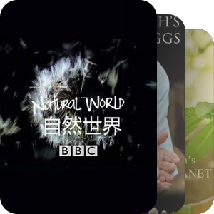 David Attenborough：自然历史记录者