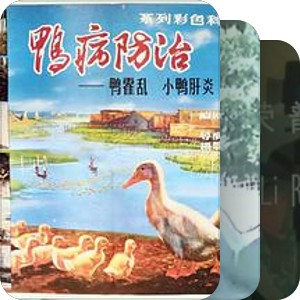 上海科学教育电影制片厂电影目录