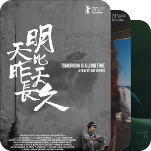 历届香港国际电影节主要竞赛影片