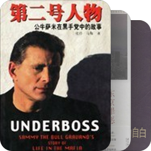 地下经济/暴力经济