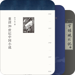 许子东 - 20世纪中国小说