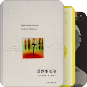 书中书