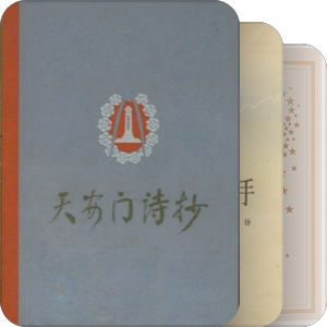 中国当代文学