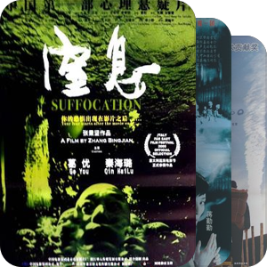 2005国产电影