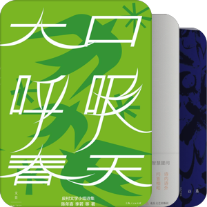 书单｜2025年诗歌类图书存目