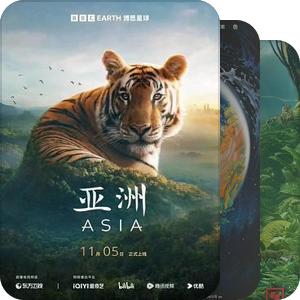 纪录片