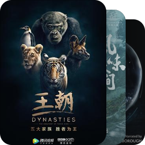 纪录片