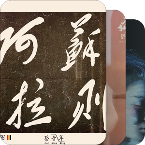 我最爱的音乐