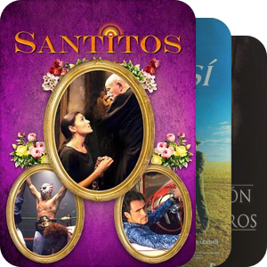 Mexican Cinema (1990-2004)