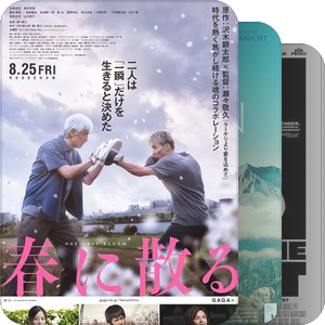 2024北影节待看