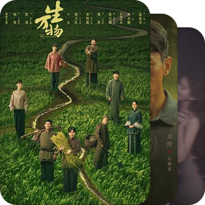 关注