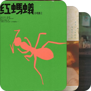 床單很白 城市很臟