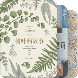 天际线丛书（2018年至今，20250227更新）